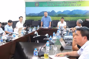 Hội nghị triển khai thực hiện các nghị quyết của Chính phủ và thông tư của Bộ Nông nghiệp và Môi trường về phân cấp, phân quyền, cắt giảm điều kiện đầu tư kinh doanh, đơn giản hóa thủ tục hành chính trong lĩnh vực trồng trọt, bảo vệ và kiểm dịch thực vật chiều 8/6.