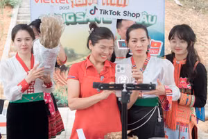 Phiên livestream “Hành trình nông sản Lai Châu” do Tiktok Shop, Viettel Post, UBND tỉnh Lai Châu và chương trình “Hàng Việt vươn mình” phối hợp thực hiện.