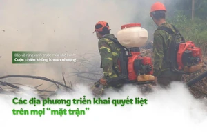 Mùa hanh khô, nguy cơ cháy rừng luôn rình rập, đe dọa “lá phổi xanh” của đất nước.