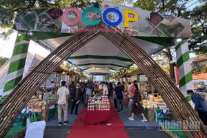 Không gian quảng bá du lịch nông thôn, sản phẩm OCOP và các hoạt động trải nghiệm giàu bản sắc của 16 tỉnh, thành phố.