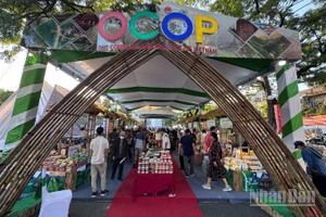 Không gian quảng bá du lịch nông thôn, sản phẩm OCOP và các hoạt động trải nghiệm giàu bản sắc của 16 tỉnh, thành phố.