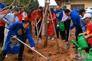 Sáng 19/4, Hội Kiến tạo Môi trường xanh Việt Nam phối hợp Ban Quản lý Khu di tích tổ chức lễ triển khai trồng 18 cây thuộc Dự án “Hoa Gạo thắp sáng Đền Hùng”.