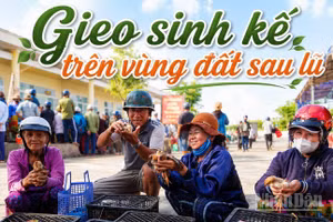 63 con bò giống, hơn 55.000 con gà, vịt giống cùng 100 chiếc xe đạp đã được trao tận tay người dân, học sinh vùng bị thiên tai.