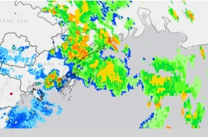 Hình ảnh phản hồi Radar thời tiết Phủ Liễn vào 13 giờ 30 ngày 19/7/2025 (trích dẫn từ bản tin cảnh báo dông, lốc, sét, mưa đá và mưa lớn cục bộ tỉnh Quảng Ninh phát lúc 13 giờ 30 ngày 19/7/2025).