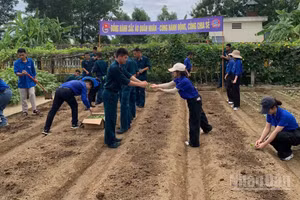 Tuổi trẻ hai đơn vị cùng tham gia các hoạt động tăng gia sản xuất, bảo vệ môi trường.