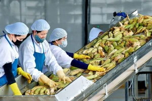Hai tháng đầu năm 2026, xuất khẩu nông, lâm, thủy sản đạt 11,3 tỷ USD, tăng 17,1% so với cùng kỳ.