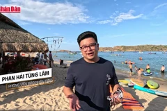 [Video] Bí ẩn "tường thành cổ" dưới lòng biển Gia Lai 