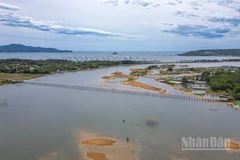 [Ảnh] Cầu gỗ Ông Cọp: Công trình mộc mạc, mê đắm của một miền thơ