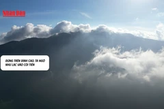 [Video] Lạc giữa chốn bồng lai ở đỉnh Hải Vân ngày đêm mây phủ