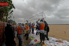 [Video] Đà Nẵng: Nỗ lực hoàn thành gia cố kè An Lương trước giờ bão 13 đổ bộ