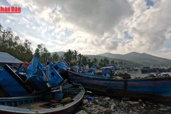 [Video] Người dân Sông Cầu lên kế hoạch vượt qua thiệt hại do bão để ra khơi