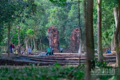 Toàn cảnh khu vực "con đường thiêng" vừa phát lộ tại Thánh địa Mỹ Sơn.