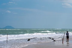 Hiện cát đã bồi lấp phần lớn lòng con tàu gỗ so với thời điểm cổ vật phát lộ.