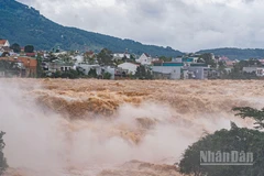 [Video] Nhiều người dân bàng hoàng chứng kiến cảnh tượng thác Liên Khương cuộn trào "giận dữ" 