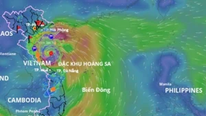 Bão số 5 vào lúc rạng sáng 25/8.
