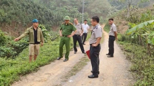 Các chấp hành viên đi thực địa tại tỉnh Lào Cai (cũ) để thi hành án.