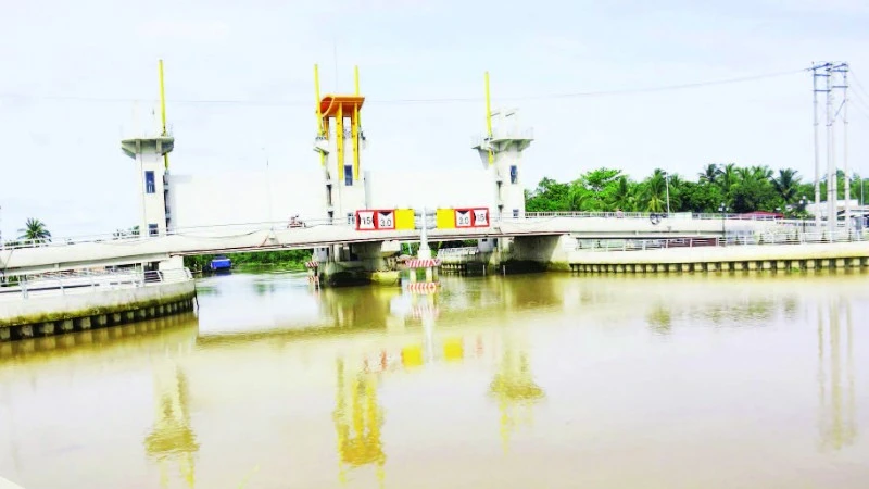Bài học xương máu từ hạn mặn lịch sử: Người dân Bến Tre chủ động ứng phó