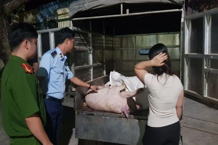 Lực lượng Công an tỉnh tăng cường phối hợp kiểm tra, xử lý nghiêm các trường hợp sản xuất, kinh doanh, vận chuyển thực phẩm không rõ nguồn gốc xuất xứ, không bảo đảm an toàn vệ sinh.