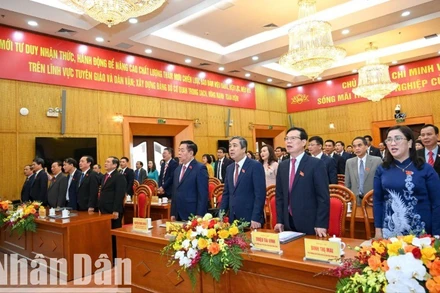 Các đại biểu thực hiện nghi thức chào cờ. (Ảnh: THẾ ĐẠI)