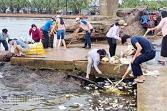 Cán bộ, đảng viên và nhân dân thành phố Phú Quốc thu gom rác ở bờ biển.