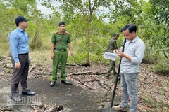 Lực lượng chức năng đặc khu Phú Quốc kiểm tra hiện trạng đất rừng phòng hộ bị bao chiếm.