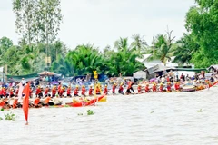 Giải ghe ngo tại Ngày hội Văn hóa, Thể thao và Du lịch đồng bào Khmer tỉnh An Giang lần thứ 17 năm 2025. 