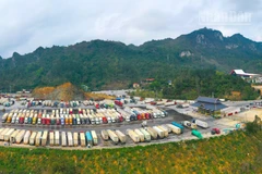 Khu vực kho bến bãi của Công ty Cổ phần Hữu nghị Xuân Cương.