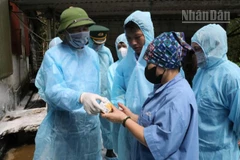 Thứ trưởng Nông nghiệp và Môi trường kiểm tra và phát vaccine chống dịch tả lợn châu Phi cho chủ cơ sở chăn nuôi tại xã Mẫu Sơn, tỉnh Lạng Sơn.