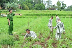 Phạm nhân tại Trại tạm giam Công an tỉnh Lạng Sơn trong giờ lao động.