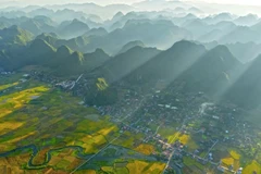 Tác phẩm: Mùa vàng, tác giả: Dương Doãn Tuấn, Giải A Giải thưởng Văn học nghệ thuật tỉnh Lạng Sơn lần thứ I, năm 2025.