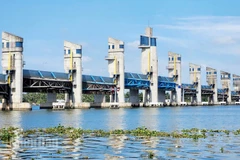 Cống Cái Lớn chủ động vận hành phục vụ sản xuất và sinh hoạt của người dân.