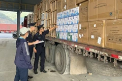 Lực lượng Hải quan cửa khẩu Tân Thanh kiểm tra hàng hoá xuất nhập khẩu tại kho bãi.