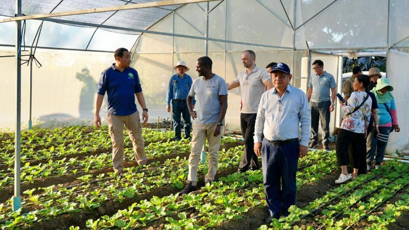 Đoàn công tác đánh giá dự án trồng rau sạch của một nông hộ ở Campuchia. (Ảnh: Fresh News) 