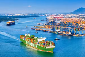 Hoạt động xuất nhập khẩu hàng hóa tại cảng Cái Mép-Thị Vải, Thành phố Hồ Chí Minh. (Ảnh ĐỖ TUẤN HÙNG)