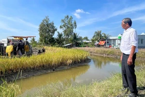 Kỹ sư Hồ Quang Cua: Một đời làm khoa học giữa đồng ruộng đổi mới