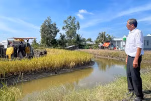 Kỹ sư Hồ Quang Cua: Một đời làm khoa học giữa đồng ruộng đổi mới