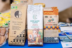 Khe Sanh: Hành trình “đánh thức” hạt cà-phê giữa đại ngàn Trường Sơn