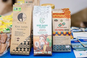 Khe Sanh: Hành trình “đánh thức” hạt cà-phê giữa đại ngàn Trường Sơn