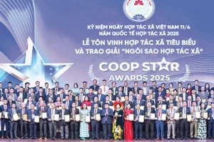 Đổi mới mô hình hợp tác xã Việt Nam: Xây dựng hệ sinh thái phong phú và vững mạnh