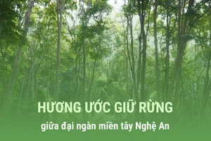 Hương ước giữ rừng giữa đại ngàn miền tây Nghệ An
