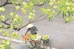 Thu Hà Nội đem theo những điều giản dị mà lãng mạn. (Ảnh LÊ TRANG)