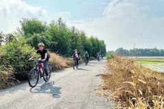 Du khách thích thú với tour khám phá Củ Chi bằng xe đạp. 