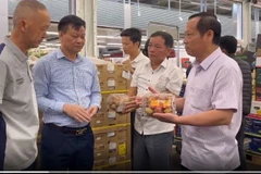 Kiểm tra chất lượng vải thiều sau khi đến nước Pháp.