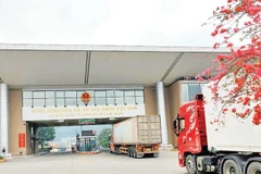 Hàng hóa xuất, nhập khẩu qua Cửa khẩu quốc tế đường bộ số II Kim Thành diễn ra sôi động. (Ảnh VIẾT VINH)