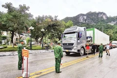 Lực lượng chức năng kiểm tra phương tiện qua cửa khẩu quốc tế Hữu Nghị.