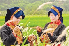 Hoa văn trên trang phục được phụ nữ Dao Thanh Phán thêu tay cầu kỳ và tinh tế.