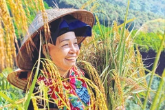 Hoa văn trên trang phục được phụ nữ Dao Thanh Phán thêu tay cầu kỳ và tinh tế.
