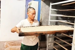 Đưa nhãn đã xoáy bỏ hạt vào lò để sấy thành long nhãn.