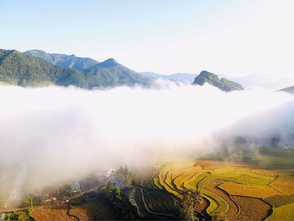 Cánh đồng Lìm Mông đẹp như tranh thủy mạc.