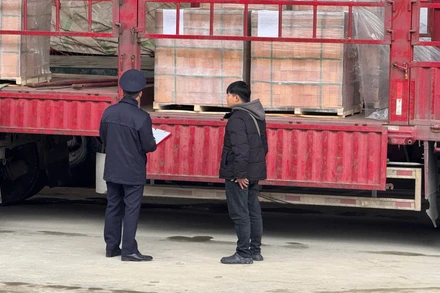 Công chức Hải quan cửa khẩu Quốc tế Hữu Nghị kiểm tra hàng hóa xuất nhập khẩu.